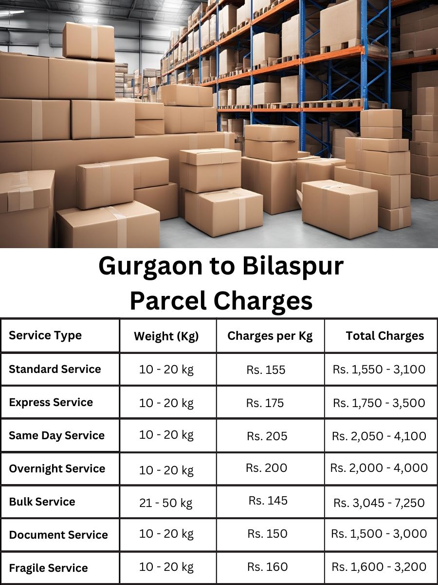 billing summary, fee digest, cost analysis Gurgaon to Bilaspur