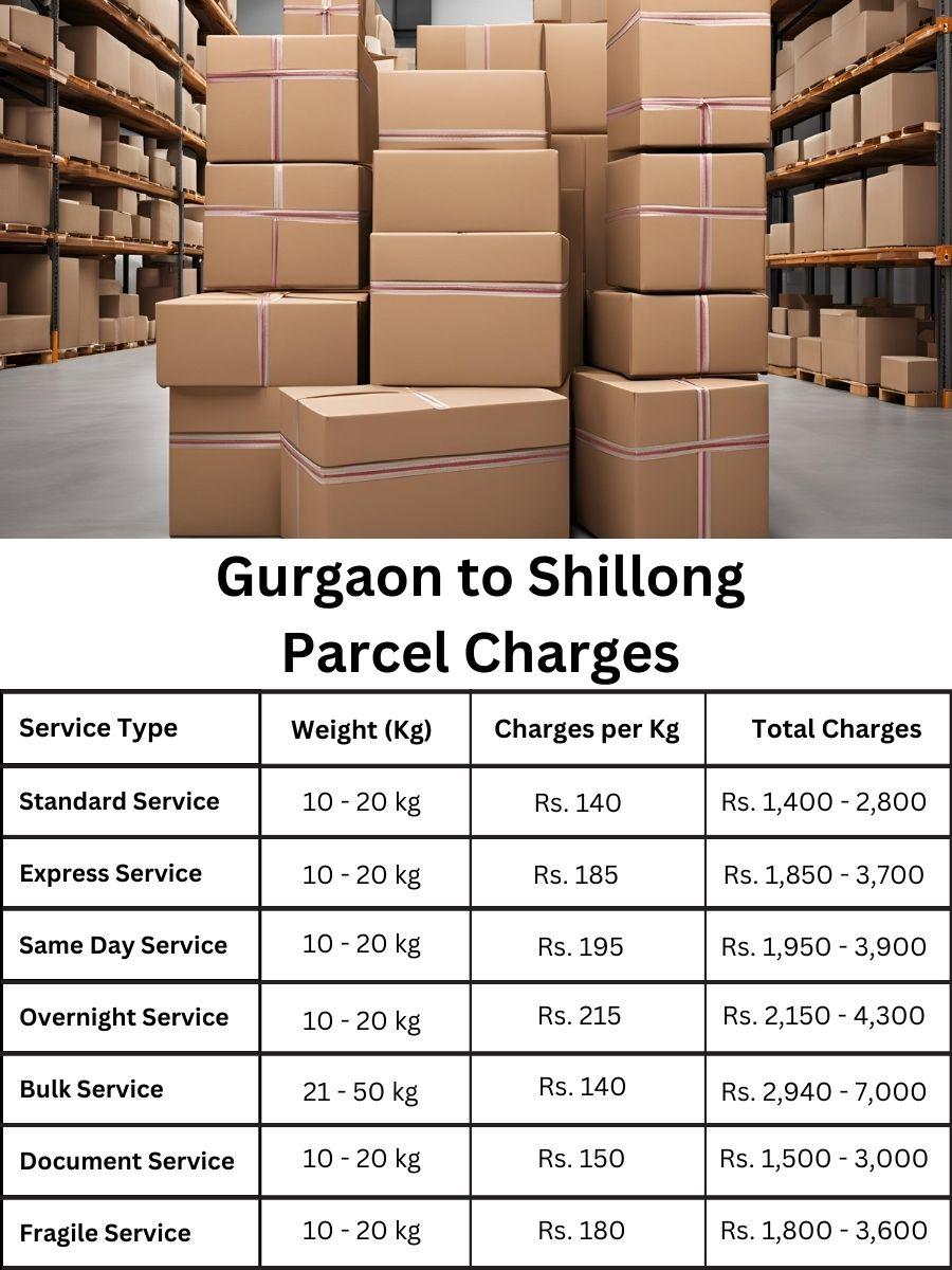 invoice log, charge planner, payment report Gurgaon to Shillong