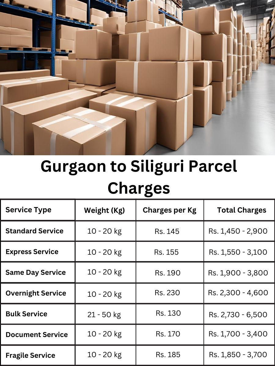 payment summary, billing report, cost digest Gurgaon to Siliguri