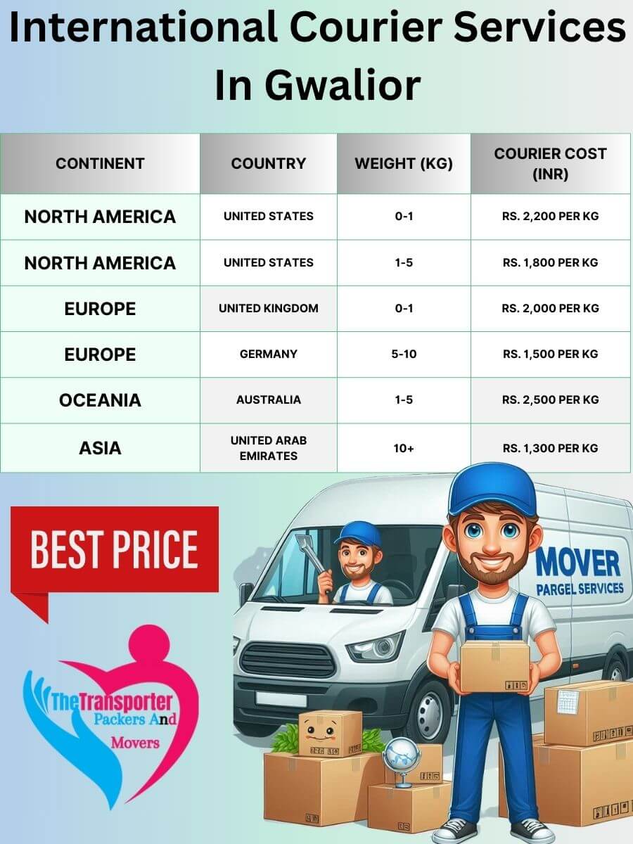 Visual breakdown of professional international courier in Gwalior structure